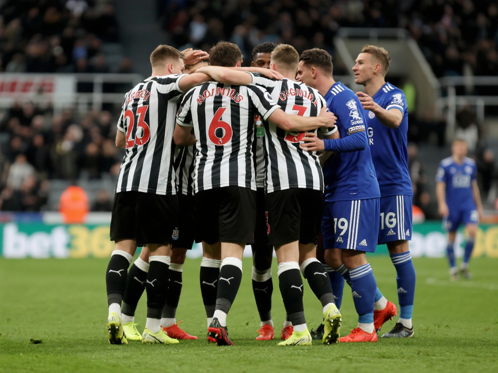 在这个全新 在这个全新